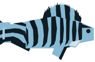 pez cebra
