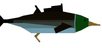 Duckfin_tuna