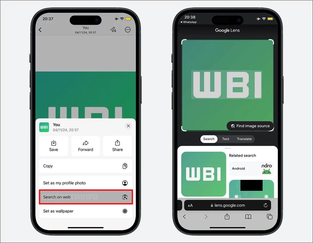 Buscar imagen en la función web en WhatsApp para iPhone
