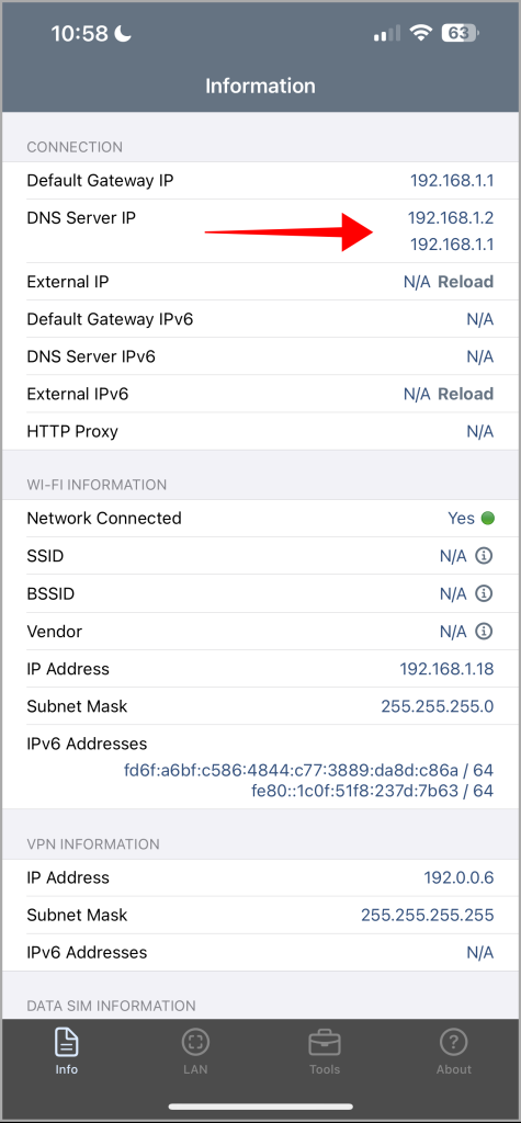 Detalles de la aplicación DNS en Network Analyzer en iPhone o iPad