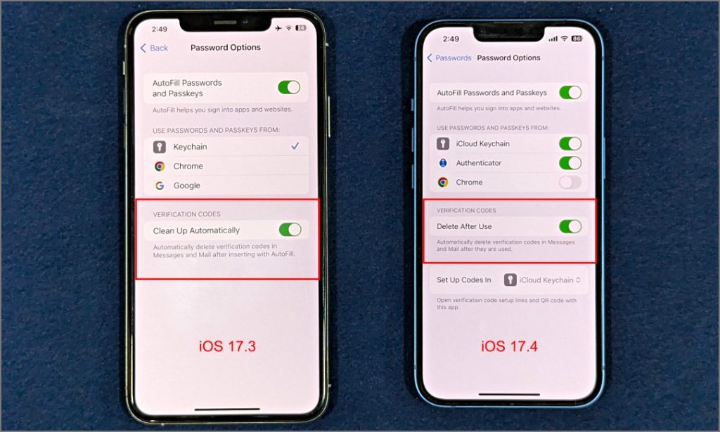 Limpie automáticamente en iOS 17.3 y elimine después de su uso en iOS 17.4