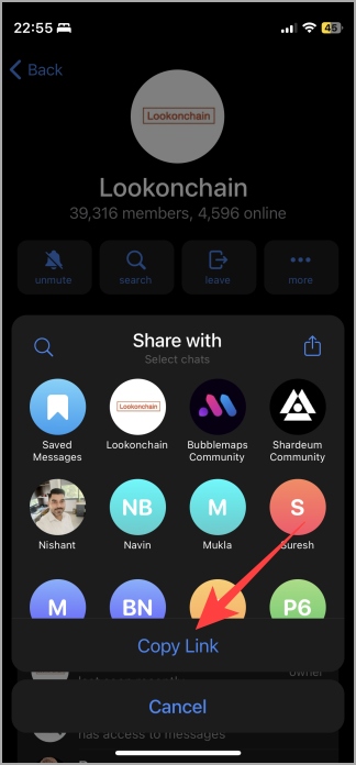 Copiar enlace de grupo Telegram