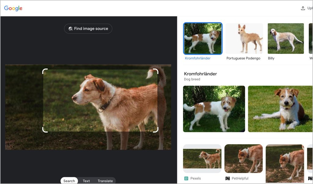 Resultados de escritorio de Google Lens