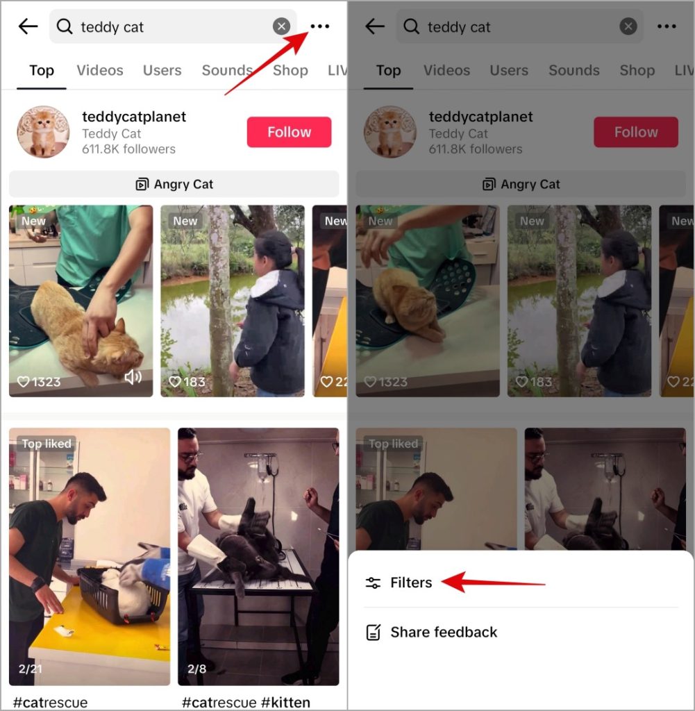 Filtrar videos de tiktok en móvil