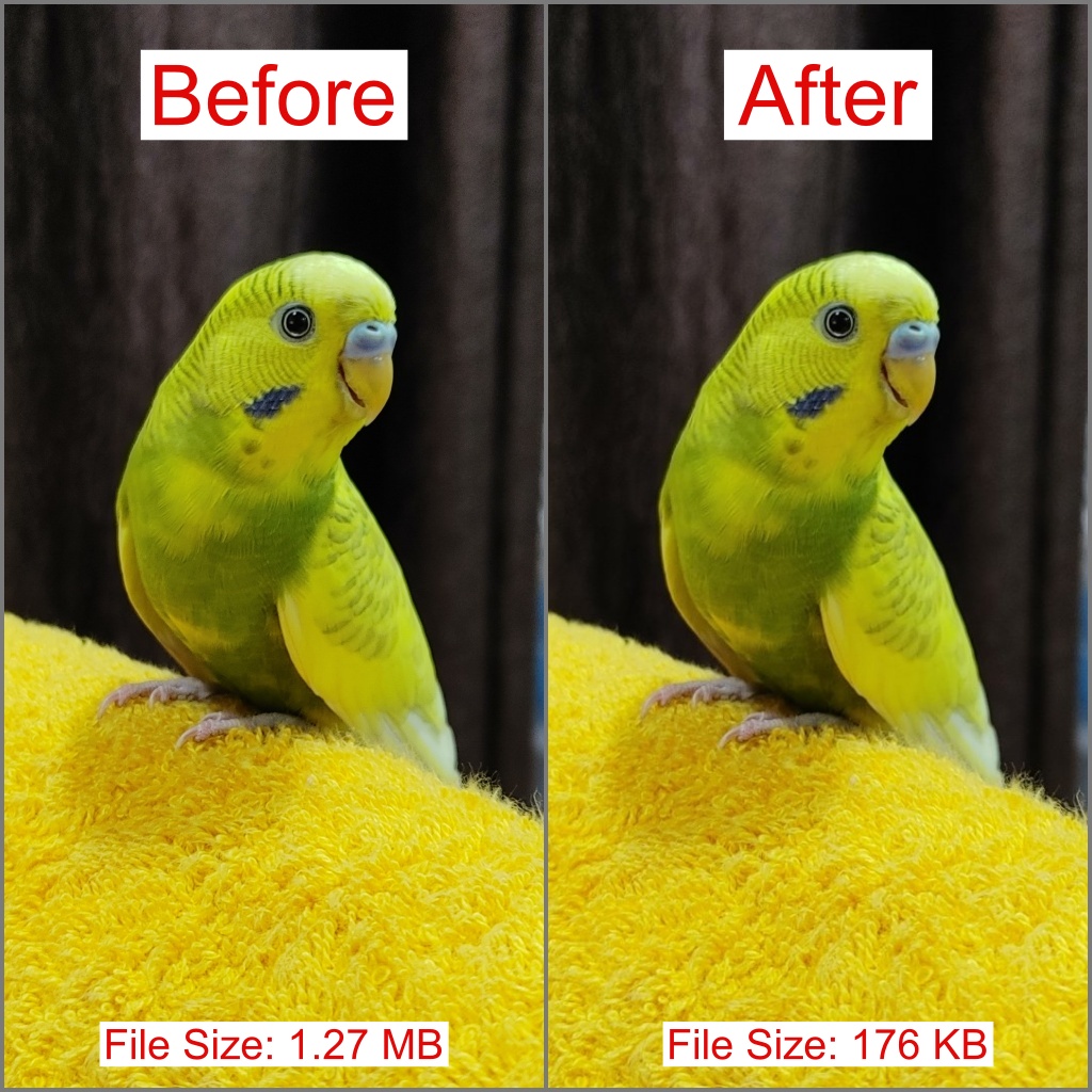 Comparación de imágenes (aplicación de Windows)