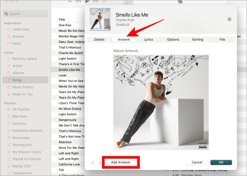 Artwotk en Apple Music