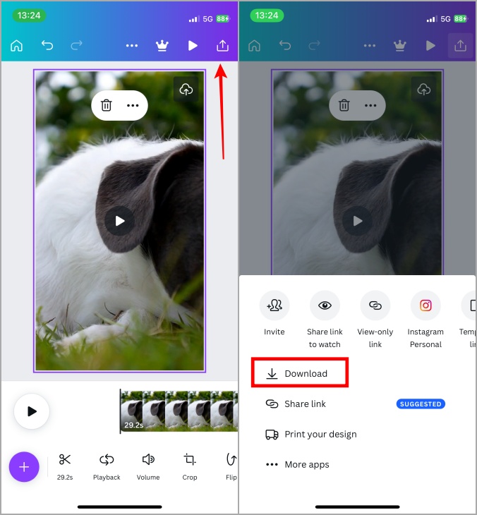 Descargar el archivo GIF de Canva