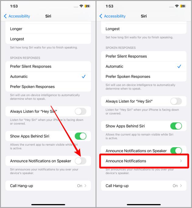 Configuración de accesibilidad Siri iOS