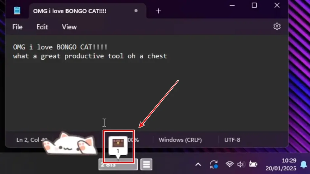 Bongo gato vapor
