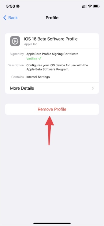 eliminar el perfil beta de iOS