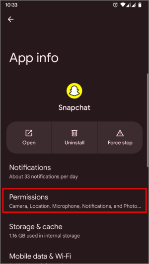 Información de la aplicación Snapchat