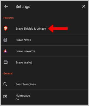Brave Sheild y Configuración de privacidad