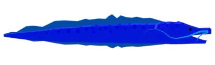 Blue_langanose