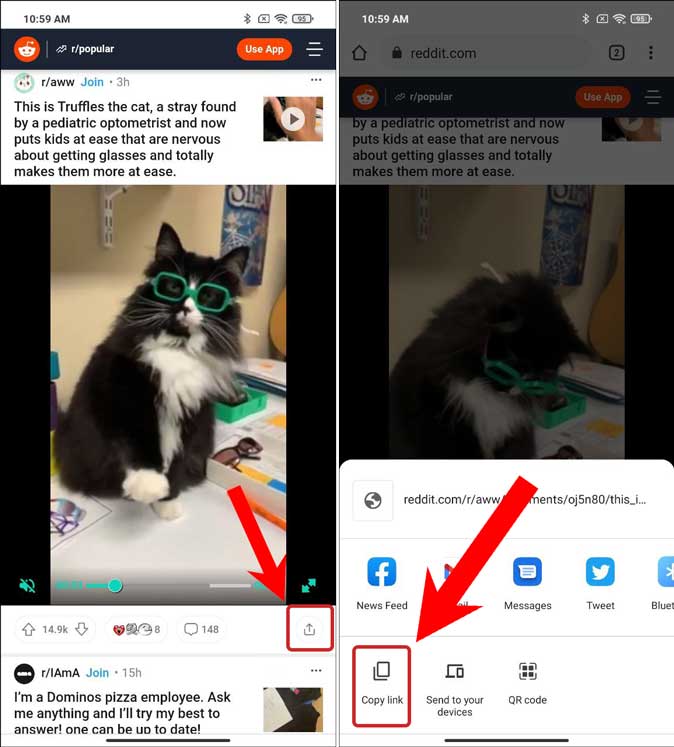 Copie el enlace a la publicación en Reddit