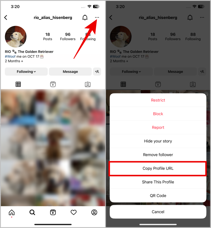 Copiar URL de perfil en los carretes de Instagram