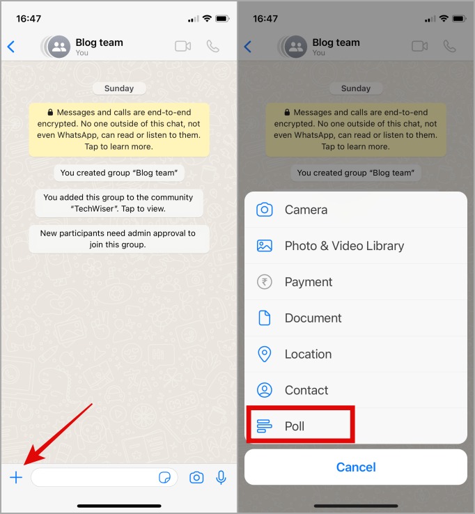 crear una nueva encuesta en la comunidad de whatsapp