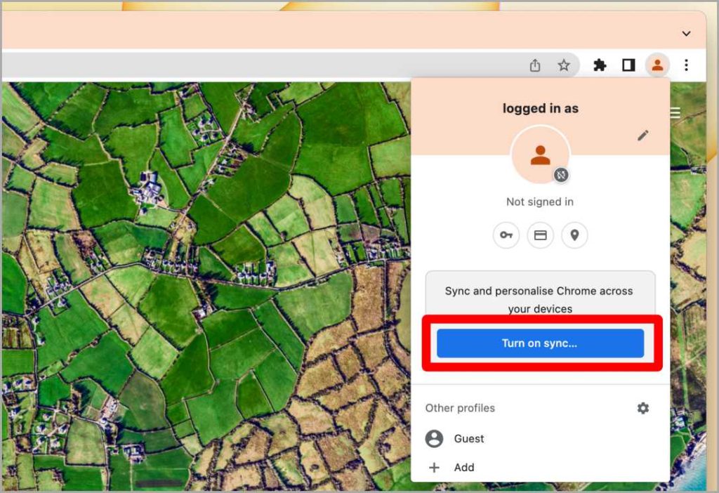 Iniciar sesión en opciones en Chrome Browser