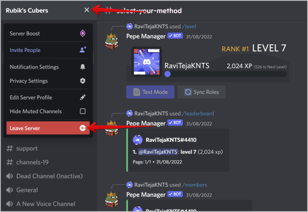 Dejando el servidor en Discord