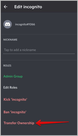 Transferir la propiedad a otro usuario en el servidor Discord
