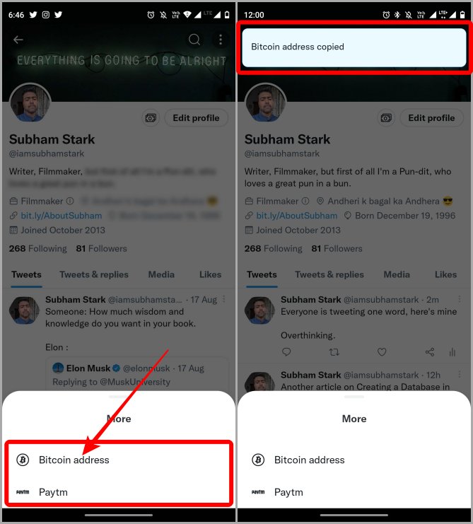 Copiar la dirección de bitcoin en los consejos de Twitter