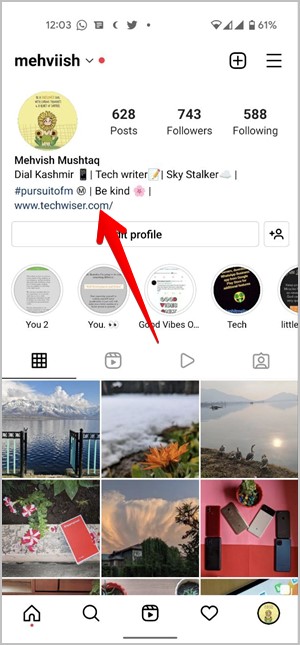 Enlace de pantalla de perfil de Instagram en biografía