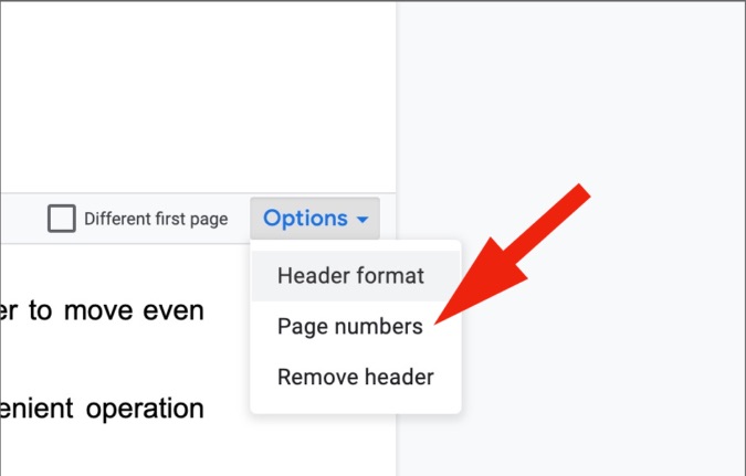 Opciones de encabezado web de Google Docs