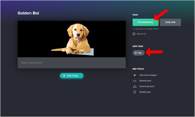Publicar la publicación de Imgur a la comunidad
