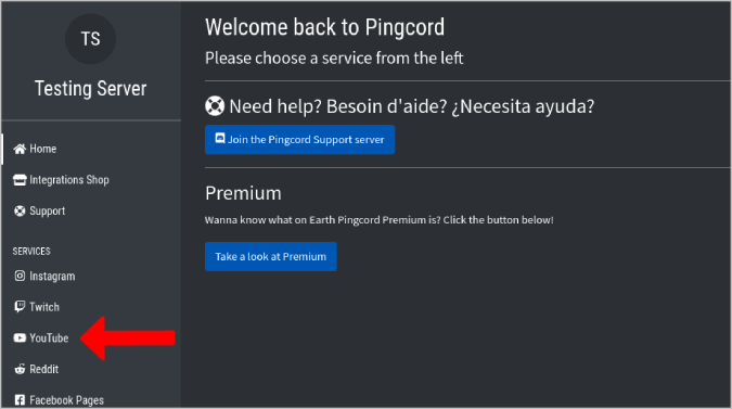 Seleccionando YouTube en Pingcord