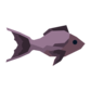 garra de la deriva