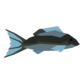 snapper gale