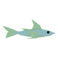 polilla