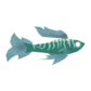 fogstripe