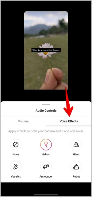 Efectos de voz de Reels de Instagram Agregar filtro