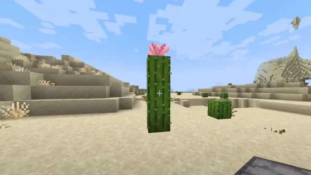 flores de cactus de Minecraft