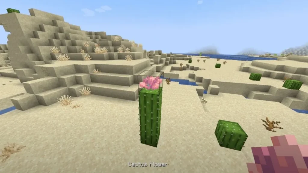 Flor de cactus de Minecraft en el desierto