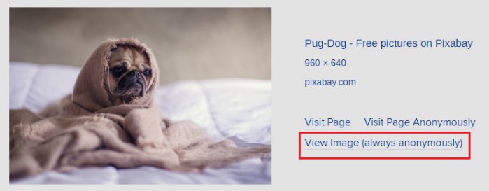 botón de imagen de vista de startpage