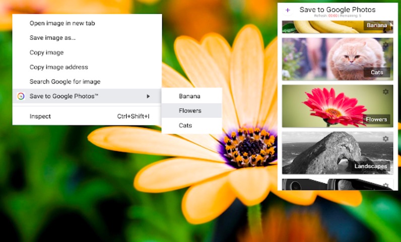 Guardar en Google Extensions