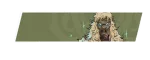 Tier 4 Lion's Mane Nameplate