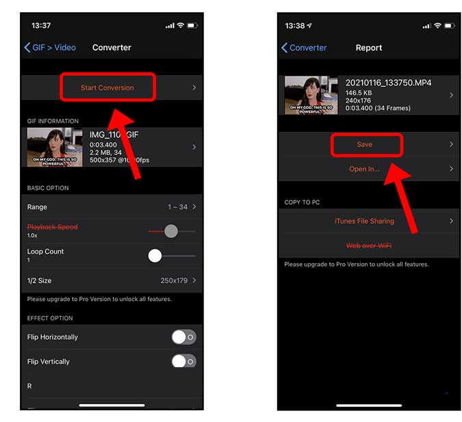 Inicie la conversión y guarde el video