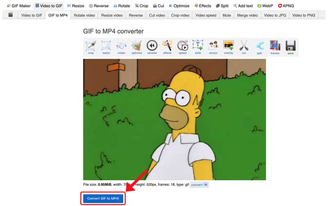 Convierta el botón GIF a MP4 en la parte inferior