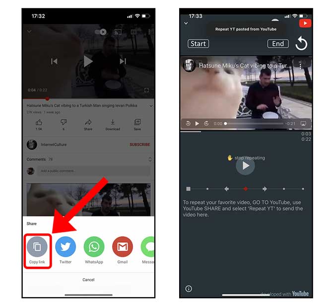 Copiar enlace del video