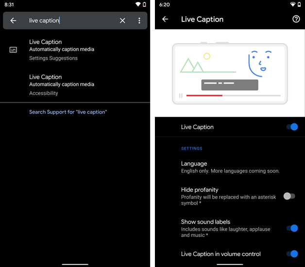 Búsqueda de subtítulos en vivo en el menú Configuración