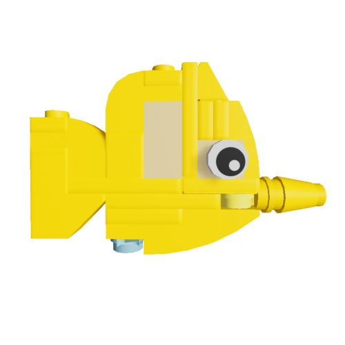 Yellow_studfish