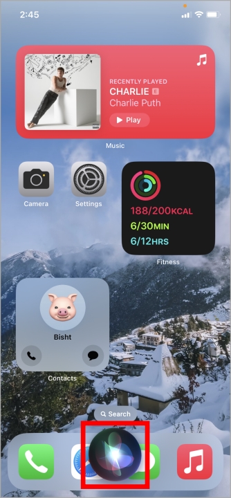 Siri en iOS