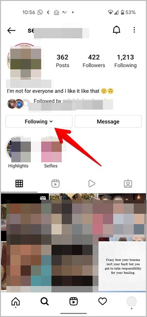 Publicaciones de Instagram inmutas siguientes