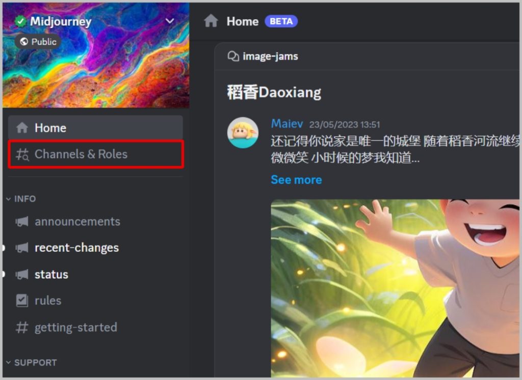 Canales y roles en Discord Server